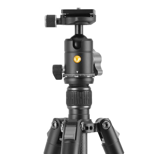 Image of Vanguard Vesta GO 234CB Carbon Fiber Travel Tripod with VEO BH-50 Ball Head