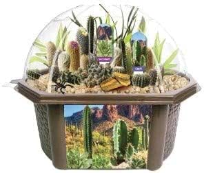 Cactus Succulent Desert Dome Seed Starter Kit - Indoor Desert Grow Kit with Potting Soil, Terrarium, and Seeds
