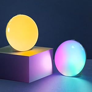 Lichtwecker Wake up Light, Tageslichtwecker Sonnenaufgang mit Radio Naturklängen Musik Buntes Licht für Kinder, Licht…