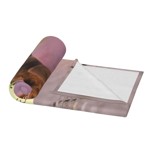 Plaid teckel marron pour canapé couverture flanelle douce - 5