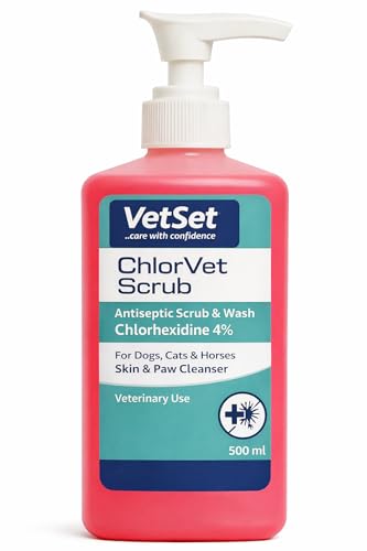 VetSet ChlorVet Scrub | Chlorhexidine 4% Antiseptic Scrub & Wash for Dogs | Veterinary Skin & Paw Cleanser for Cats Horses & Animals | Hand Wash & Pre-Procedure Prep | 500ml (Pack of 1)