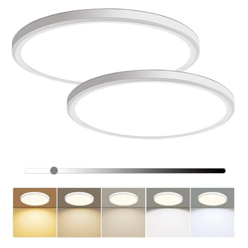 2 Pack 12 Inch Dimmable LED Flush Mount Ceiling Light Fixture 28W 3200LM 5 Color Temperature in One Super Slim Round Ceiling Lamp Low Profile Ceiling Lights for Living Bedroom Kitchen Laundr