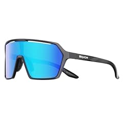 B02 Polarized Lens