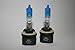 893 880 884 885 890 892 Xenon White Halogen Bulb Auto Bulb Automotive Bulb - Pack of 2