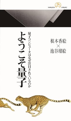 ようこそ量子　量子コンピュータはなぜ注目されているのか (情報研シリーズ)
