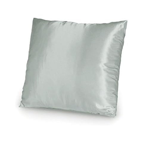 TAOSON Silky Soft Satin Solid Cushion Cover Pillow Cover Pillowcase Pillow Sofa Throw with Hidden Zipper Closure Only Cover 20x20 Inch 50x50cm-Silver Cover