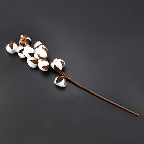 3pcs 10 Bolls Natural Cotton Dried Flower Stems miniatura 3