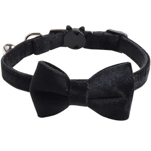 L  qL ^ ^ p ybg S ߉\ t ѕt (ubN)