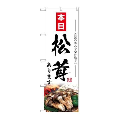 ̂ڂ艮H[ ̂ڂ 131784 ܂{ W600×H1800mm 1 OO ̑ ɐ 󒍐Yi