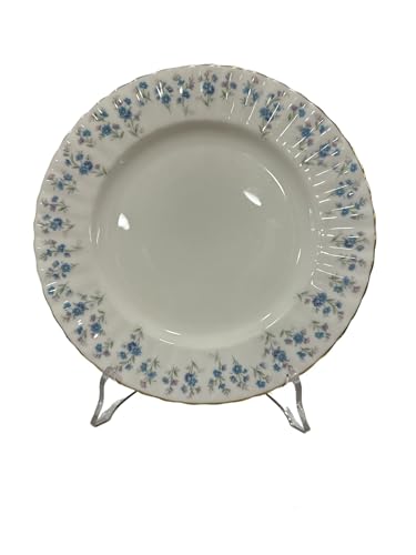 Piatto in porcellana di Royal Albert Decoro MEMORY LANE