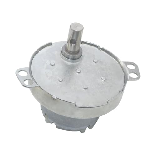 Moteur réducteur miniature pour réparer un tournebroche électrique de barbecue bloqué