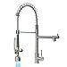 Fapully Commercial Single Handle Pull Down Sprayer Brushed Nickel Kitchen Faucet, Kitchen Sink Faucet with LED Light