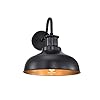 Diyel Outdoor Gooseneck Barn Light Outdoor Wall Sconce Farmhouse Exterior Wall Mount Light Vintage Wall Lighting Fixture Industrial Black Wall Lantern for Porch, Entryway, Garage, 1 Pack, RZ007 BK