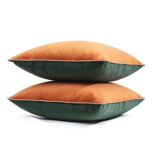 Btfortune BZ10 Decorative Throw Pillow Covers thumb #3