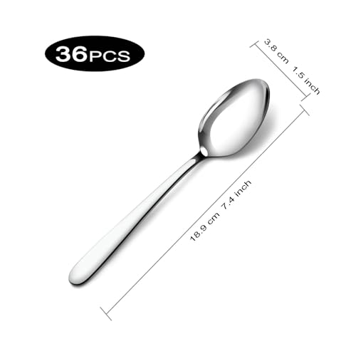 7.4 Inch Dinner Spoons