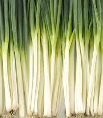 Image of Vinayak Seeds Nisargaa Green Spring Onion F1 Allium Cepa for Home Kitchen Garden (600)