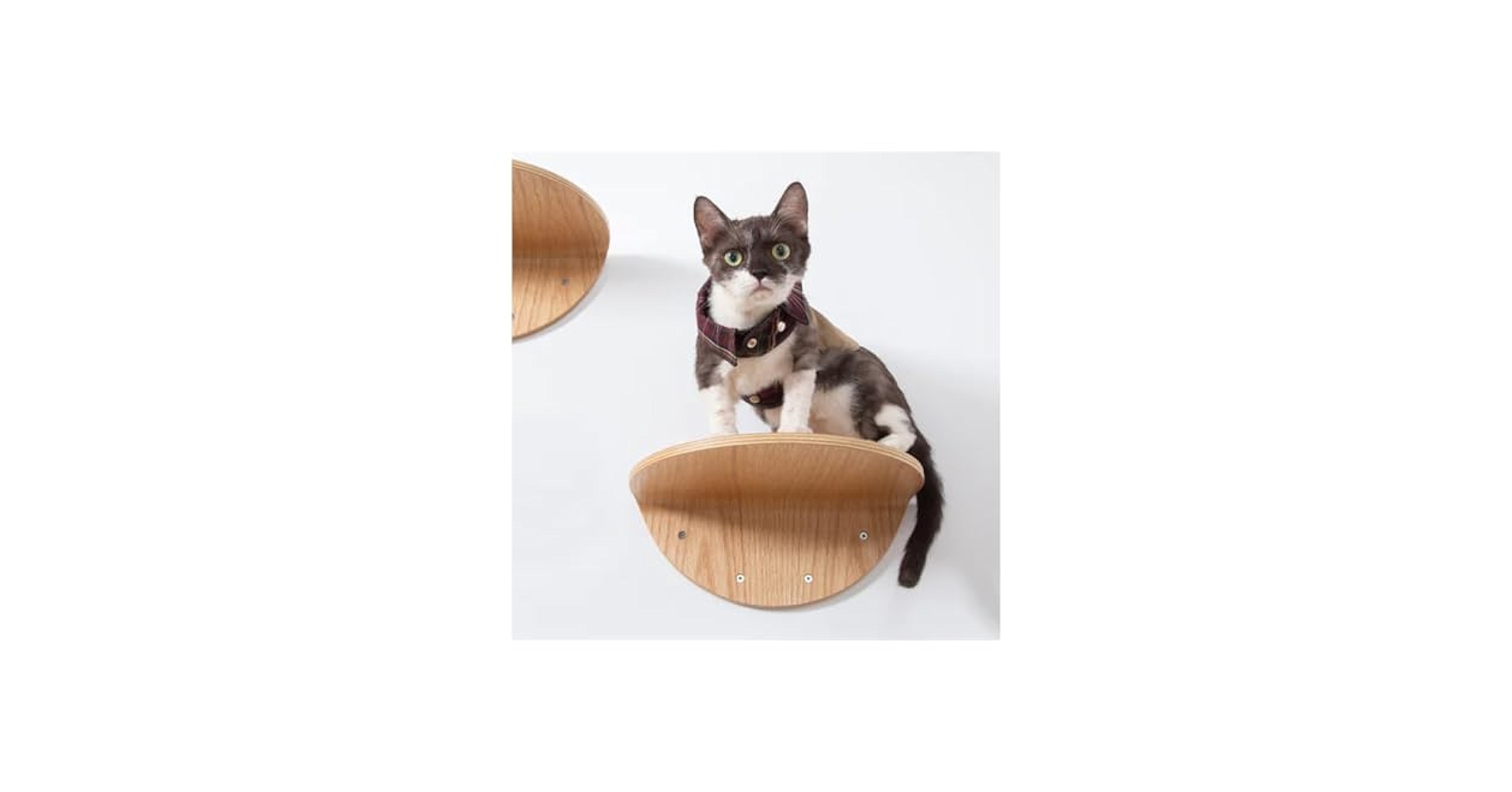Amazon | MYZOO キャットステップ 半円型 （2枚入） ROUND LACK