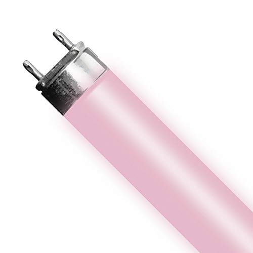 Helios 6 Pack T5 Bulb 24W Aquarium Light Bulb HO...