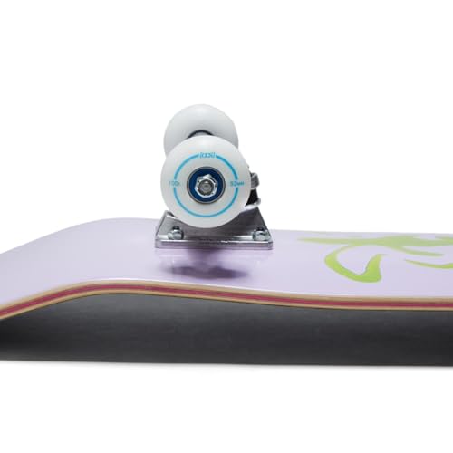 Image of [CCS] Skateboard Complete | Maple Wood | Professional Grade | Fully Assembled with Skate Tool & Stickers | Adults, Kids, Teens, Youth | Boys & Girls