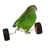 -Balance-Spielzeug, -Training, Balance-Ruderrolle, Käfig-Sportbedarf, lustige Nymphensittiche, Balancefahrzeug für Holz, Sitzstange, Tischdekoration, Heimtiergeschäft