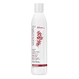 Biotera Color Care Protective Conditioner, with Grapeseed Extract, Paraben-Free, 15.2-Ounce