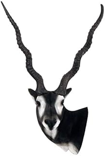 Delta McKenzie Replacement Black Buck Head