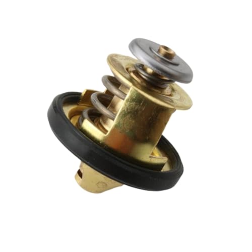 Thermostat d'eau haute précision pour Runner ST VX VXR et DNA 125 180 200