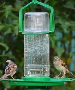 Automatic Water Feeder, Hanging, Balcony, Hanging for Grill Sparrow, Parrot, piegons (B0C9JJF72S) Amazon Price History, Amazon Price Tracker