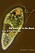 The Amoeba in the Room: Lives of the Microbes