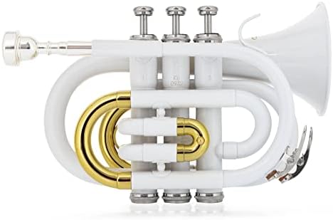 Tromba Tascabile Brass TT-400 Sib - Ottone Nero, Campana 93mm, Per Principianti E Viaggi - Foto 9