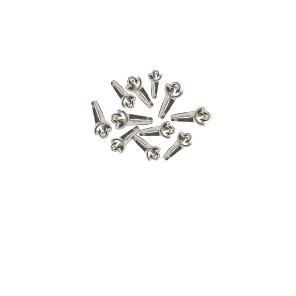 Plata (98% de pureza) clavo sagrado y sagrado, 11 unidades para Pooja y regalo, plata pura Long_T736