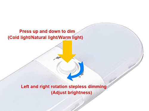 Luces LED de 12 voltios de 10W con 3 temperaturas de color e interruptor integrado 3