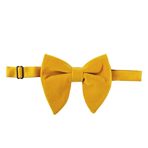 Set de pajarita y accesorios de terciopelo para hombre miniatura 2