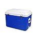 UCYG Portatil Nevera Termoeléctrica Rígida, Grande Cooler Cool Box con Enfriamiento Y Preservación para Acampada Senderismo Coche Playa, 59.5x43x39.5cm, 65L