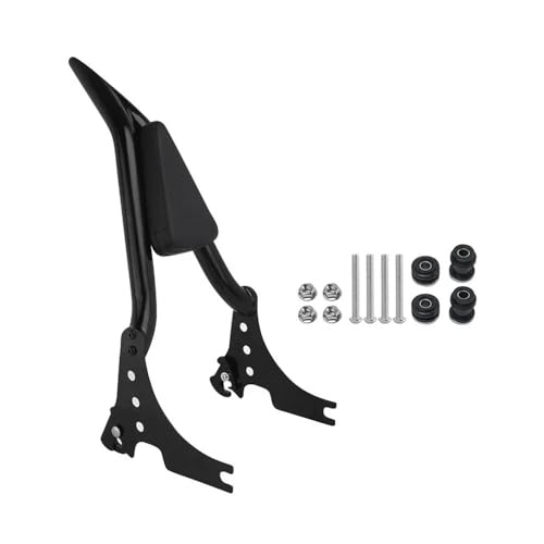 Sissy bar Sportster avec dossier arrière amovible pour duo et voyages