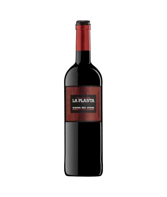 La Planta Ribera del Duero Rotwein, 12 Flaschen, 0,75 l