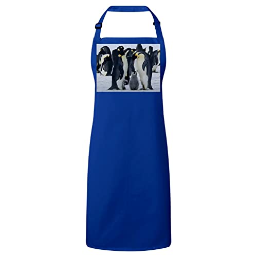 Tablier cuisine bleu premium pingouins en coton durable