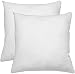 GREATOOL Relleno Cojín 2 Unidades 45x45CM, Relleno Suave, Combinar con Cualquier Funda de Cojín, Relleno de Cojín para Dormitorio, Salón, Comedor, Jardín, Sofá, Coche (45 x 45 CM, 2 Unidades)
