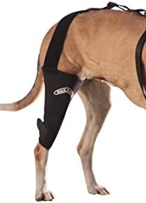 performance dog knee brace