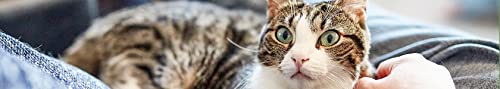 Virbac Feluro | 60 ml | Ergänzungsfuttermittel für Katzen | Zur Unterstützung der Gesunderhaltung der Harnwege | Für die Zellgesundheit bei oxidativem Stress | Orale Suspension