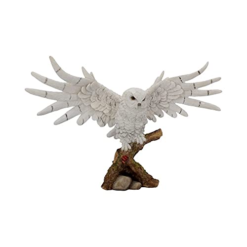 Nemesis Now - Statuetta Con Poggia Neve, 30 Cm, Colore: Bianco