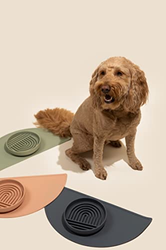 Slow Feeder Dog Bowl: The Slowdown Bowl Is A Modern, Silicone Puzzle Bowl & Lick Mat. Slow Eating, Stop Gulping, Take It Easy. Dishwasher Safe. (Honey) #TOP4