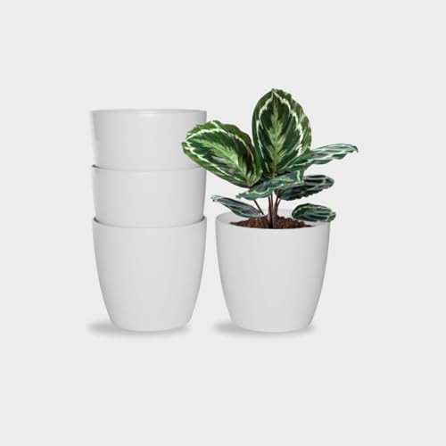 Image of YUCCABE ITALIA SHERA Stella 12 Inch Plastic Plant Pot for Home Decor Indoor Plant Pots for Living Room Plastic Flower Pot for Garden (White, 12 INCH - 4 Pcs)