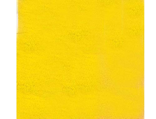 Image of Carpet for Living Room, Bedroom and Hall Handmade Microfiber Cozy Soft and Fluffy Shaggy Area Rug with 2 inch Thick Anti Skid Carpet [3x5 Feet Yellow]