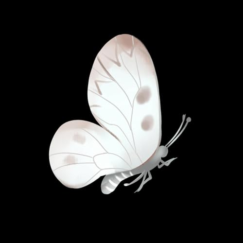 Et si le succ&egrave;s &eacute;tait un sous-produit de l&rsquo;abandon ?