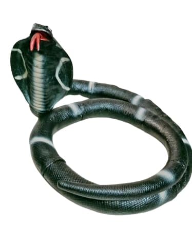Snake Cobra Rubber Toy Pretend Play Fancy Dress Accessory Black Color Toy (B0C8B9H3G6) Amazon Price History, Amazon Price Tracker