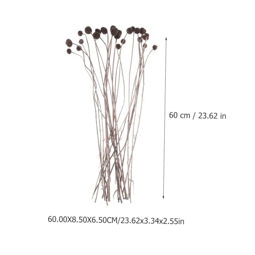 Bouquet Natural de Flores Secas Craspedia 20pcs miniatura 2