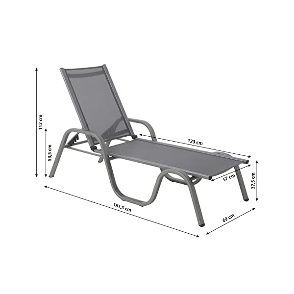 Dehner Gartenliege Chicago Aluminium Grau