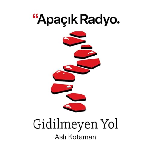 『Gidilmeyen Yol』のカバーアート