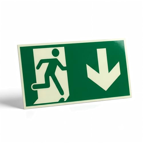 Notausgang Schild Alu Selbstklebend, DIN 67510 Langnachleuchtend & Reflektierend (30x15x0.4cm), Fluchtwegschild ISO 7010 aus Massiv-Aluminium ohne Bohren, Pfeil Unten, XAQAMY